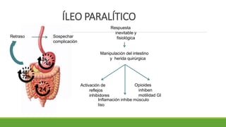 ÍLEO PARALÍTICO
Manipulación del intestino
y herida quirúrgica
Inflamación inhibe músculo
liso
Opioides
inhiben
motilidad GI
Respuesta
inevitable y
fisiológica
Activación de
reflejos
inhibidores
Retraso Sospechar
complicación
 