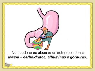 No duodeno eu absorvo os nutrientes dessa
massa – carboidratos, albuminas e gorduras.
 