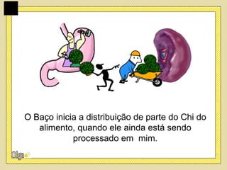 O Baço inicia a distribuição de parte do Chi do
   alimento, quando ele ainda está sendo
            processado em mim.
 