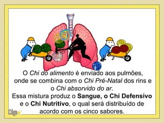 O Chi do alimento é enviado aos pulmões,
 onde se combina com o Chi Pré-Natal dos rins e
             o Chi absorvido do ar.
Essa mistura produz o Sangue, o Chi Defensivo
   e o Chi Nutritivo, o qual será distribuído de
         acordo com os cinco sabores.
 