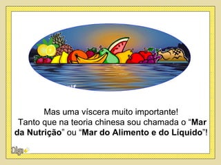 Mas uma víscera muito importante!
 Tanto que na teoria chinesa sou chamada o “Mar
da Nutrição” ou “Mar do Alimento e do Líquido”!
 