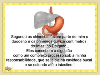 Segundo os chineses, fazem parte de mim o
   duodeno e os primeiros quinze centímetros
              do Intestino Delgado.
           Eles concebem a digestão
    como um complexo processo sob a minha
responsabilidade, que se inicia na cavidade bucal
         e se estende até o intestino !
 