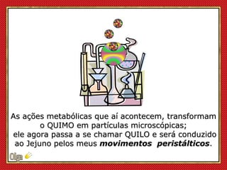As ações metabólicas que aí acontecem,  transformam o QUIMO em partículas microscópicas; ele agora passa a se chamar QUILO...