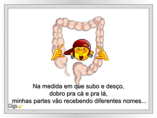 Olga Na medida em que subo e desço,  dobro pra cá e pra lá,  minhas partes vão recebendo diferentes nomes... 