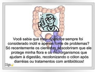 Olga Você sabia que meu  Apêndice  sempre foi  considerado inútil e apenas fonte de problemas? Só recentemente os cientistas descobriram que ele protege minha flora e os microrganismos que ajudam à digestão, recolonizando o cólon após diarréias ou tratamentos com antibióticos! 