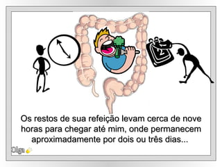 Olga Os restos de sua refeição levam cerca de nove horas para chegar até mim, onde permanecem  aproximadamente por dois ou três dias...  