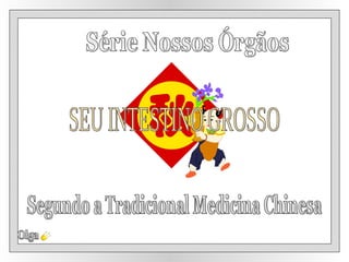 Segundo a Tradicional Medicina Chinesa Olga Série Nossos Órgãos SEU INTESTINO GROSSO 
