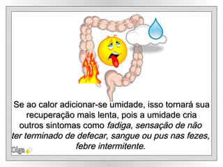 Olga Se ao calor adicionar-se umidade, isso tornará sua recuperação mais lenta, pois a umidade cria  outros sintomas como  fadiga, sensação de não  ter terminado de defecar, sangue ou pus nas fezes,  febre intermitente .  