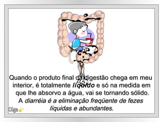 Olga Quando o produto final da digestão chega em meu  interior, é totalmente  líquido  e só na medida em que lhe absorvo a água, vai se tornando sólido. A  diarréia é a eliminação freqüente de fezes  líquidas e abundantes . 