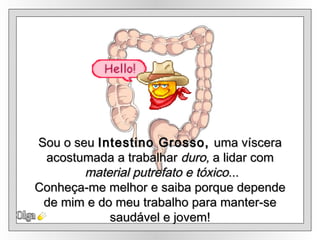 Olga Sou o seu  Intestino Grosso,  uma víscera acostumada a trabalhar  duro,  a lidar com material putrefato e tóxico... Conheça-me melhor e saiba porque depende de mim e do meu trabalho para manter-se  saudável e jovem! 