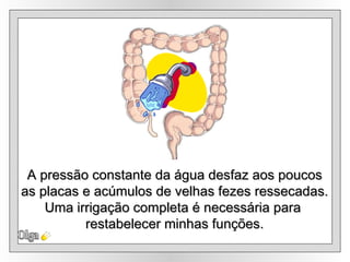 Olga A pressão constante da água desfaz aos poucos as placas e acúmulos de velhas fezes ressecadas. Uma irrigação completa é necessária para  restabelecer minhas funções. 