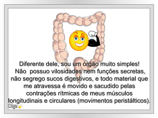 Olga Diferente dele, sou um órgão muito simples! Não  possuo vilosidades nem funções secretas, não segrego sucos digestivos, e todo material que me atravessa é movido e sacudido pelas  contrações rítmicas de meus músculos longitudinais e circulares (movimentos peristálticos).  