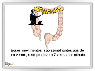 Olga Esses movimentos  são semelhantes aos de um verme, e se produzem 7 vezes por minuto. 