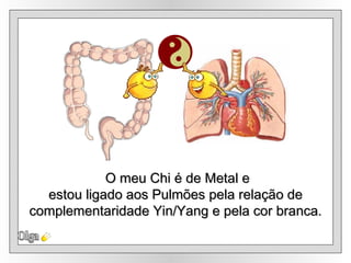 Olga O meu Chi é de Metal e estou ligado aos Pulmões pela relação de complementaridade Yin/Yang e pela cor branca. 