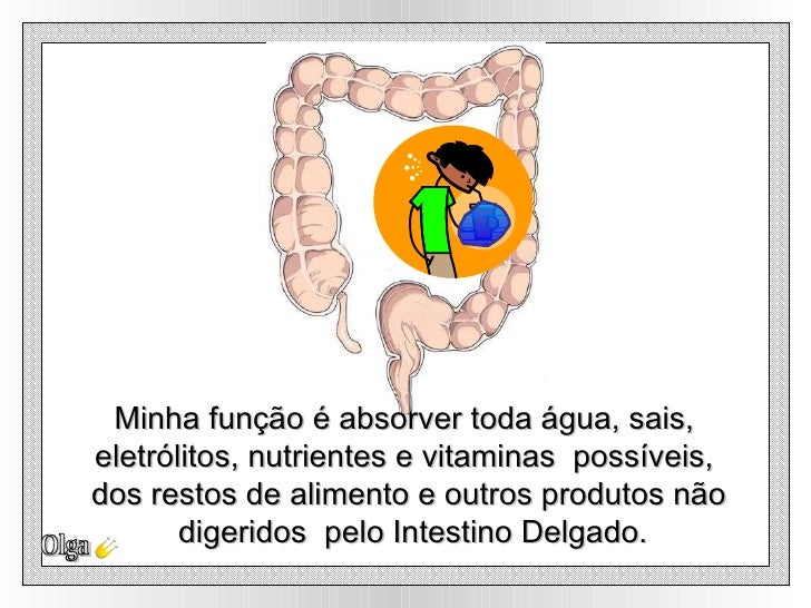 Manga Prende Ou Solta O Intestino Do Bebê
