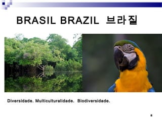BRASIL BRAZIL 브라질




Diversidade. Multiculturalidade. Biodiversidade.


                                                   8
 