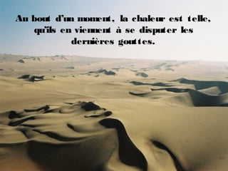 Au bout d’un moment, la chaleur est telle,
qu’ils en viennent à se disputer les
dernières gouttes.
 