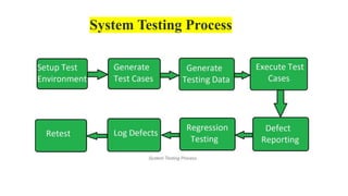 System Testing Process
 