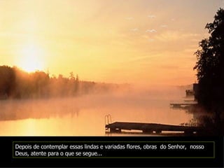 Depois de contemplar essas lindas e variadas flores, obras  do Senhor,  nosso Deus, atente para o que se segue... 
