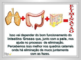 Isso vai depender do bom funcionamento doIsso vai depender do bom funcionamento do
Intestino GrossoIntestino Grosso que, junto com aque, junto com a pelepele, nos, nos
ajuda no processo de eliminação.ajuda no processo de eliminação.
Percebemos isso melhor nos quadros catarraisPercebemos isso melhor nos quadros catarrais
onde há eliminação de muco juntamenteonde há eliminação de muco juntamente
com as fezes.com as fezes.
 