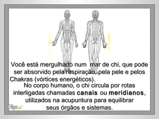 Você está mergulhado num mar de chi, que podeVocê está mergulhado num mar de chi, que pode
ser absorvido pela respiração, pela pele e pelosser absorvido pela respiração, pela pele e pelos
Chakras (vórtices energéticos).Chakras (vórtices energéticos).
No corpo humano, o chi circula por rotasNo corpo humano, o chi circula por rotas
interligadas chamadasinterligadas chamadas canaiscanais ouou meridianosmeridianos,,
utilizados na acupuntura para equilibrarutilizados na acupuntura para equilibrar
seus órgãos e sistemas.seus órgãos e sistemas.
 