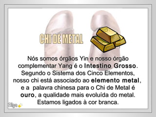 Nós somos órgãos Yin e nosso órgãoNós somos órgãos Yin e nosso órgão
complementar Yang é ocomplementar Yang é o Intestino GrossoIntestino Grosso ..
Segundo o Sistema dos Cinco Elementos,Segundo o Sistema dos Cinco Elementos,
nosso chi está associado aonosso chi está associado ao elemento metalelemento metal ,,
e a palavra chinesa para o Chi de Metal ée a palavra chinesa para o Chi de Metal é
ouroouro, a qualidade mais evoluída do metal., a qualidade mais evoluída do metal.
Estamos ligados à cor branca.Estamos ligados à cor branca.
 