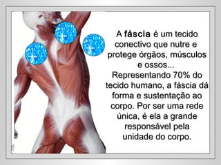 AA fásciafáscia é um tecidoé um tecido
conectivo que nutre econectivo que nutre e
protege órgãos, músculosprotege órgãos, músculos
e ossos...e ossos...
Representando 70% doRepresentando 70% do
tecido humano, a fásciatecido humano, a fáscia dádá
forma e sustentação aoforma e sustentação ao
corpo. Por ser uma redecorpo. Por ser uma rede
única, é ela a grandeúnica, é ela a grande
responsável pelaresponsável pela
unidade do corpo.unidade do corpo.
 