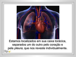 Estamos localizados em sua caixa torácica,Estamos localizados em sua caixa torácica,
separados um do outro pelo coração eseparados um do outro pelo coração e
pelapela pleurapleura, que nos reveste individualmente., que nos reveste individualmente.
 
