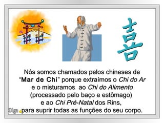 Olga Nós somos chamados pelos chineses de “ Mar de Chi ” porque extraímos o  Chi do Ar e o misturamos  ao  Chi do Alimento   (processado pelo baço e estômago)  e ao  Chi Pré-Natal  dos Rins,  para suprir todas as funções do seu corpo. 