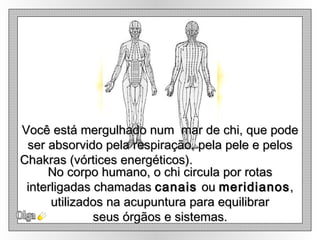 Olga Você está mergulhado num  mar de chi, que pode ser absorvido pela respiração, pela pele e pelos Chakras (vórtices energéticos).   No corpo humano, o chi circula por rotas interligadas chamadas  canais  ou  meridianos , utilizados na acupuntura para equilibrar seus órgãos e sistemas. 