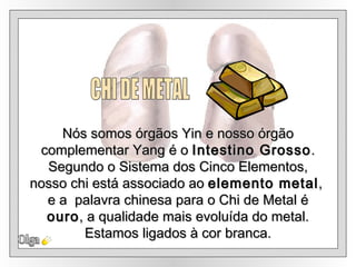 CHI DE METAL Olga Nós somos órgãos Yin e nosso órgão complementar Yang é o  Intestino Grosso . Segundo o Sistema dos Cinco Elementos, nosso chi está associado ao  elemento metal ,  e a  palavra chinesa para o Chi de Metal é  ouro , a qualidade mais evoluída do metal. Estamos ligados à cor branca. 