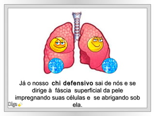 Já o nosso  chi defensivo  sai de nós e se dirige à  fáscia  superficial da pele impregnando suas células e  se abrigando sob ela. Olga 