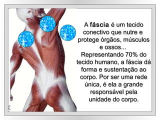 Olga A  fáscia  é um tecido conectivo que nutre e  protege órgãos, músculos e ossos...  Representando 70% do tecido humano, a fáscia  dá forma e sustentação ao corpo. Por ser uma rede única, é ela a grande responsável pela unidade do corpo.   