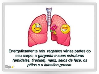 Energeticamente nós  regemos várias partes do seu corpo: a  garganta e suas estruturas (amídalas, tireóide ),  nariz, seios da face, os pêlos e o intestino grosso . Olga 