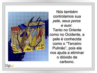 Nós também controlamos sua  pele, seus poros  e suor .  Tanto no Oriente como no Ocidente, a pele é conhecida como o “Terceiro Pulmão”, pois ela nos ajuda a eliminar o dióxido de carbono. Olga 