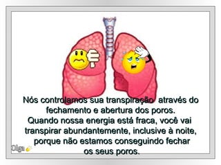 Nós controlamos sua transpiração  através do fechamento e abertura dos poros. Quando nossa energia está fraca, você vai  transpirar abundantemente, inclusive à noite, porque não estamos conseguindo fechar os seus poros. Olga 