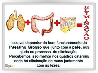 Isso vai depender do bom funcionamento do  Intestino Grosso  que, junto com a  pele , nos ajuda no processo  de eliminação.  Percebemos isso melhor nos quadros catarrais onde há eliminação de muco juntamente  com as fezes.  Olga = + ELIMINAÇÃO + 