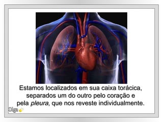 Olga Estamos localizados em sua caixa torácica,  separados um do outro pelo coração e  pela  pleura , que nos reveste individualmente.  
