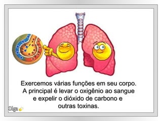 Exercemos várias funções em seu corpo. A principal é levar o oxigênio ao sangue e expelir o dióxido de carbono e  outras toxinas. Olga 