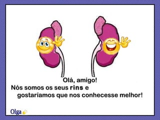 Olá, amigo! Nós somos os seus  rins  e  gostaríamos que nos conhecesse melhor! Olga 