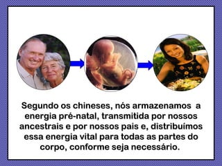 Segundo os chineses, nós armazenamos  a energia pré-natal, transmitida por nossos ancestrais e por nossos pais e, distribuímos essa energia vital para todas as partes do corpo, conforme seja necessário.  