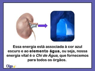 Essa energia está associada à cor azul escuro e ao  elemento água , ou seja, nossa energia vital é o  Chi de Água , que fornecemos para todos os órgãos.  Olga 