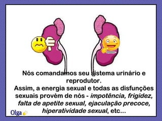 Nós comandamos seu sistema urinário e reprodutor. Assim, a energia sexual e todas as disfunções sexuais provém de nós -  impotência, frigidez, falta de apetite sexual, ejaculação precoce, hiperatividade sexual , etc... Olga 
