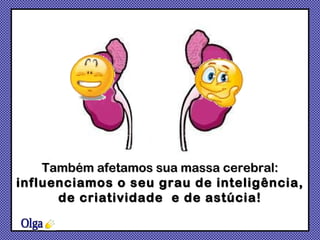 Também afetamos sua massa cerebral:  influenciamos o seu grau de inteligência, de criatividade  e de astúcia! Olga 