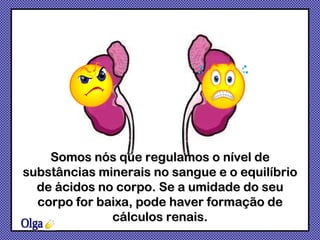 Somos nós que regulamos o nível de substâncias minerais no sangue e o equilíbrio de ácidos no corpo. Se a umidade do seu corpo for baixa, pode haver formação de cálculos renais. Olga 