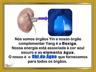 Nós somos órgãos Yin e nosso órgãoNós somos órgãos Yin e nosso órgão
complementar Yang é acomplementar Yang é a BexigaBexiga..
Nossa energia está associada à cor azulNossa energia está associada à cor azul
escuro e aoescuro e ao elemento águaelemento água..
O nosso é oO nosso é o oooooooooooooooooo que fornecemosque fornecemos
para todos os órgãos.para todos os órgãos.
 