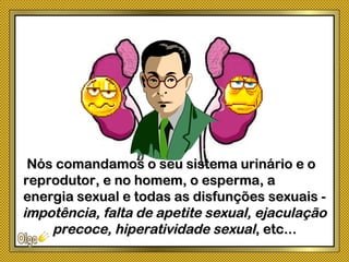 Nós comandamos o seu sistema urinário e oNós comandamos o seu sistema urinário e o
reprodutor, e no homem, o esperma, areprodutor, e no homem, o esperma, a
energia sexual e todas as disfunções sexuais -energia sexual e todas as disfunções sexuais -
impotência, falta de apetite sexual, ejaculaçãoimpotência, falta de apetite sexual, ejaculação
precoce, hiperatividade sexualprecoce, hiperatividade sexual, etc..., etc...
 