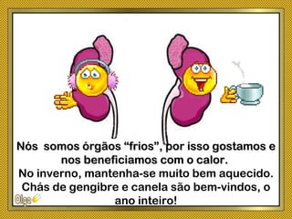 Nós somos órgãos “frios”, por isso gostamos eNós somos órgãos “frios”, por isso gostamos e
nos beneficiamos com o calor.nos beneficiamos com o calor.
No inverno, mantenha-se muito bem aquecido.
Chás de gengibre e canela são bem-vindos, o
ano inteiro!
 