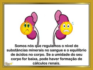 Somos nós que regulamos o nível deSomos nós que regulamos o nível de
substâncias minerais no sangue e o equilíbriosubstâncias minerais no sangue e o equilíbrio
de ácidos no corpo. Se a umidade do seude ácidos no corpo. Se a umidade do seu
corpo for baixa, pode haver formação decorpo for baixa, pode haver formação de
cálculos renais.cálculos renais.
 