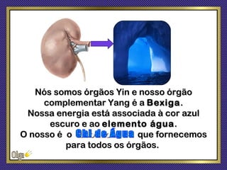 Nós somos órgãos Yin e nosso órgão
     complementar Yang é a Bexiga .
 Nossa energia está associada à cor azul
      escuro e ao elemento água .
O nosso é o ooooooooo que fornecemos
          para todos os órgãos.
 